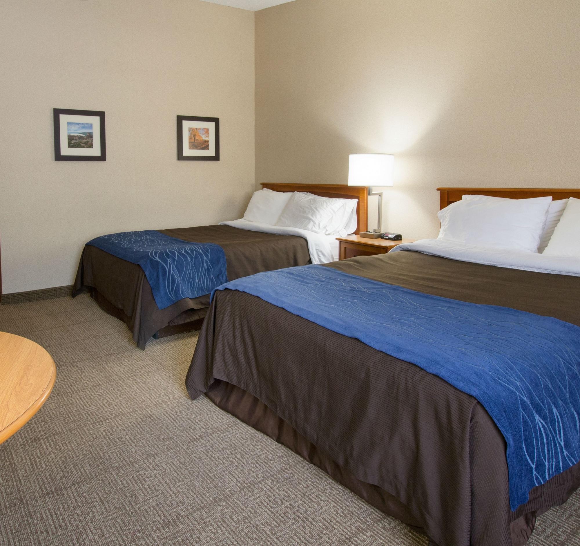 Comfort Inn & Suites Syracuse-Carrier Circle East Syracuse Exteriér fotografie