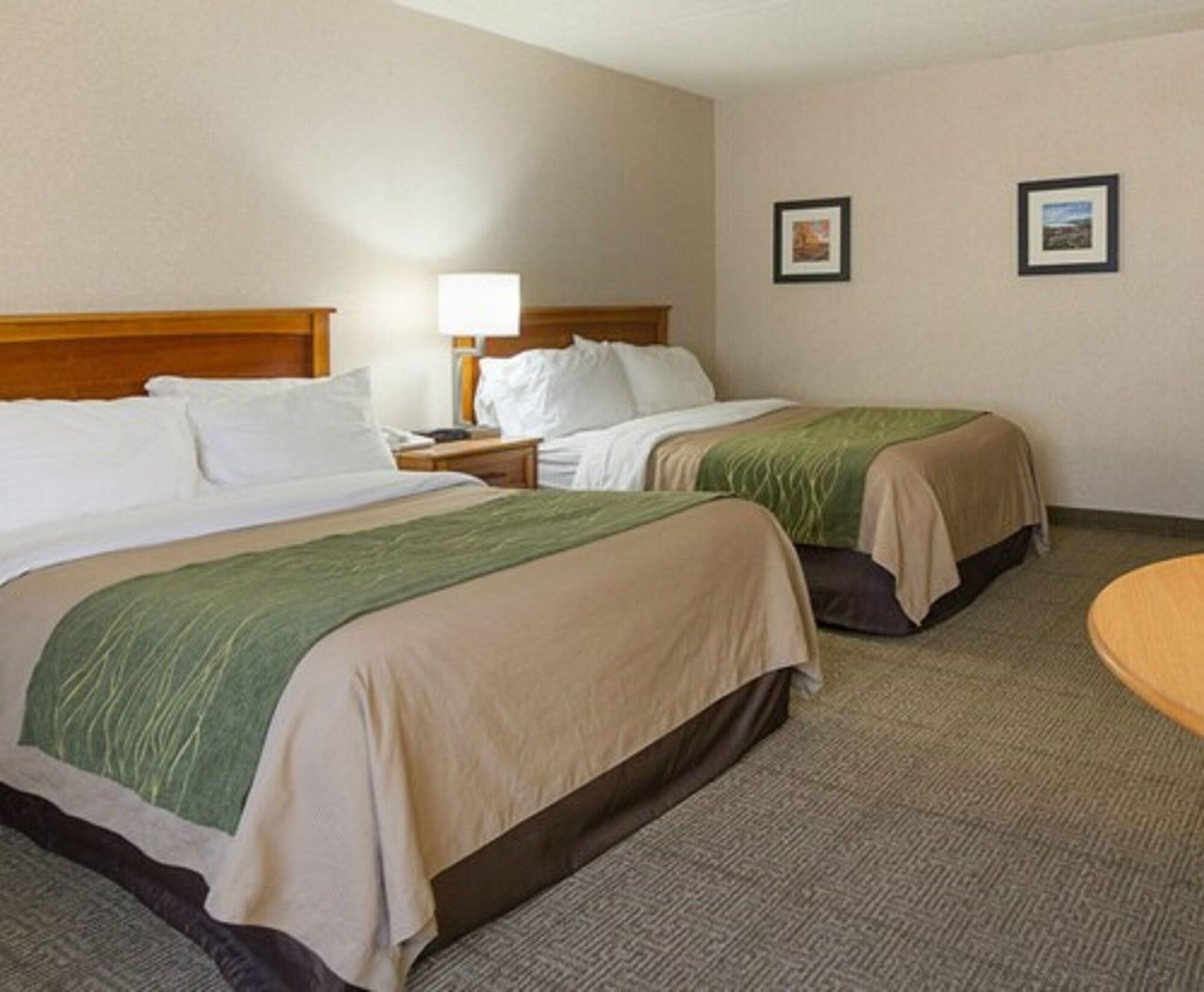 Comfort Inn & Suites Syracuse-Carrier Circle East Syracuse Exteriér fotografie