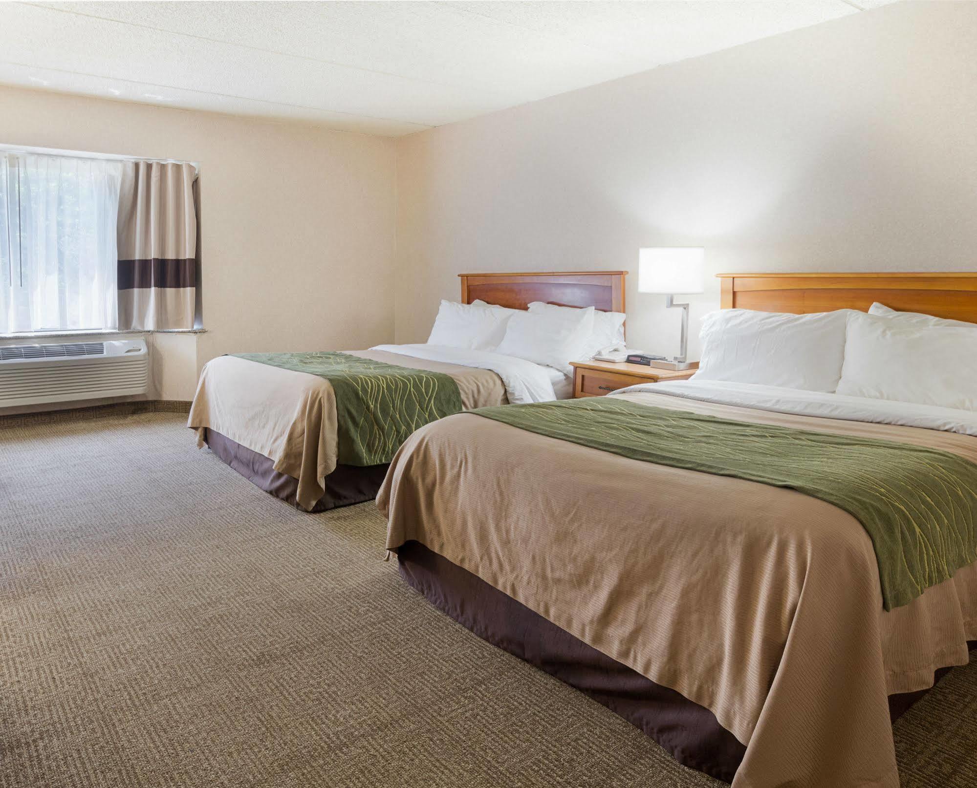 Comfort Inn & Suites Syracuse-Carrier Circle East Syracuse Exteriér fotografie